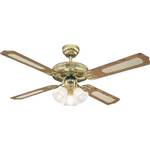 Westinghouse Lighting 7817140