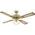 Westinghouse Lighting 7817140