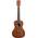 Kala MK-C Konzert-Ukulele