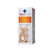 Recoactiv Nieren Tonikum/Tonicum