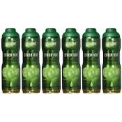 Teisseire Limette Vergleich