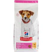 Hill's Puppy under 1