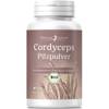 Effective nature Cordyceps