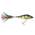 Balzer 134020009