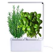 Amzwow Smart Garden Vergleich