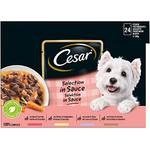 Cesar 4008429079573