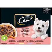 Cesar 4008429079573