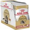 Royal Canin Maine Coon Adult
