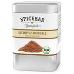 Spicebar Steinpilz-Meersalz
