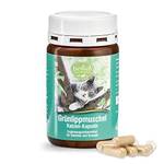 Sanct Bernhard Grünlippmuschel-Katzen-Kapseln