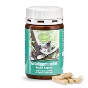 Sanct Bernhard Grünlippmuschel-Katzen-Kapseln