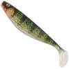 Balzer Shirasu Photo Print Shad 3D