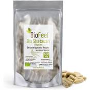 BioFeel Shatavari Kapseln Bio Vergleich
