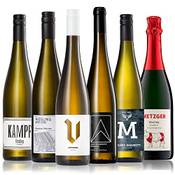 Geile Weine Weinpaket Riesling