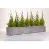Vivanno Blumenkasten Flobo