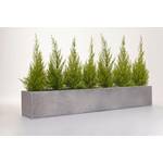 Vivanno Blumenkasten Flobo
