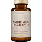 FSA Nutrition Pinienrindenextrakt Vergleich