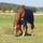 Horseware  ACEJ60-BJ00-78