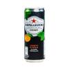 San pellegrino Dose Chinotto Chinò