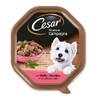 Cesar BF35D