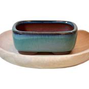xiangshang shangmao Chinesischer Bonsai-Topf Vergleich