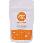 Splashyum Artemia-Eier Vergleich