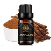Aphrosmile Cinnamon Vergleich