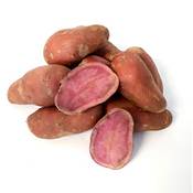 Emmalie Rote Kartoffeln