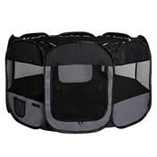 lionto by dibea Welpenauslauf