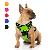 Supet Hundegeschirr mit Brustring Vergleich