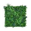 Urbanjungle Pflanzenwand