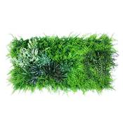 Urbanjungle Pflanzenwand Typ A Vergleich