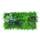 Urbanjungle Pflanzenwand Typ A