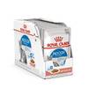 Royal Canin Indoor Sterilised