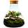 Growing Concepts Flaschengarten