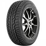 Cooper Weathermaster WSC SUV