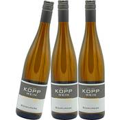 Weinkellerei Kopp Scheurebe