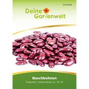Deine Gartenwelt Phaseolus vulgaris Vergleich
