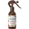Air Wick Botanica Duftspray Minze