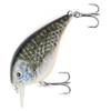 Major Fish-Store 14978-Hecht UV