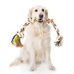 Nobleza Hundespielzeugseil