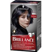 Brillance Intensiv-Color-Creme Grafitsilber Vergleich