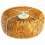 Pecorino