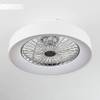 Hofstein LED Deckenventilator Moli