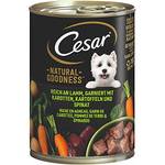 Cesar 42691