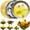 Teeblumen