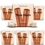 True Gum Cinnamon