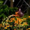 Lifemet Solar-Gartendeko-Sternendusche