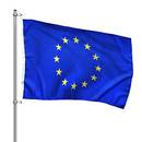 Fbs Fahne_Eu