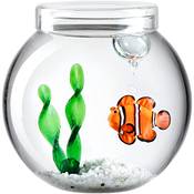 Leonardo Home Dekoset Glas Clownfisch Vergleich